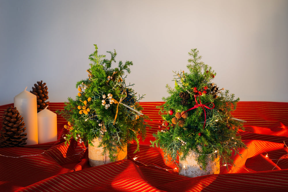 ホリデーシーズンを彩るミニクリスマスツリーづくり　ワークショップ開催のお知らせ